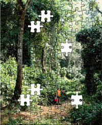 Puzzle personalizat jungla format A4 120 de piese
